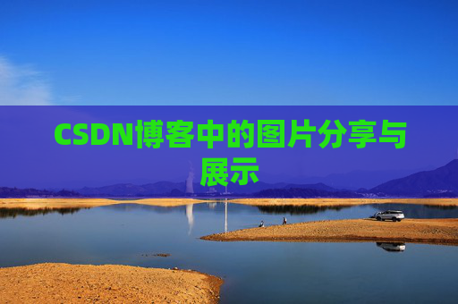 CSDN博客中的图片分享与展示